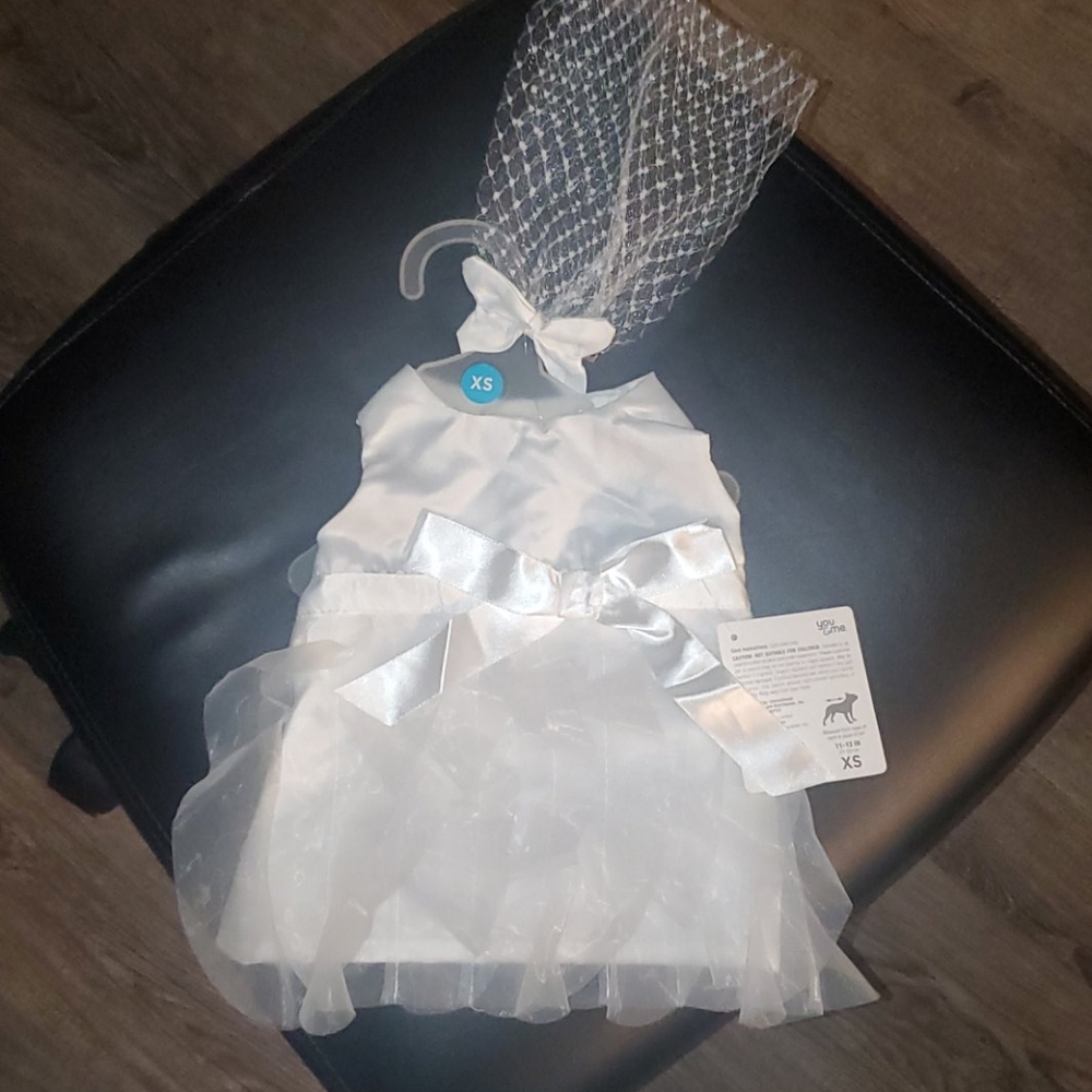 Dog wedding dress & veil